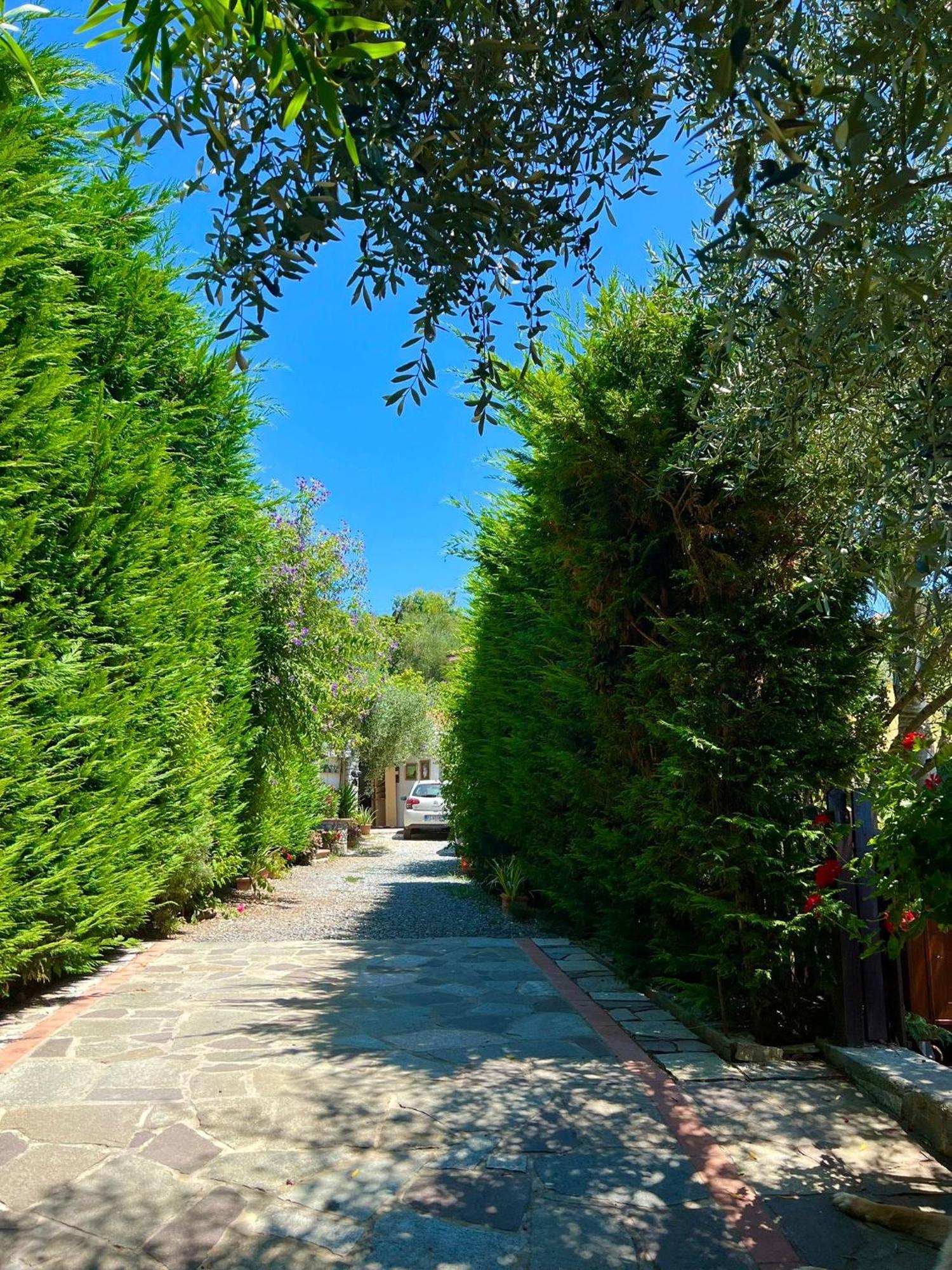 Le Jardin Sur Mer Avec Bike Et Mtb Tour Hotel Imperia Exterior foto