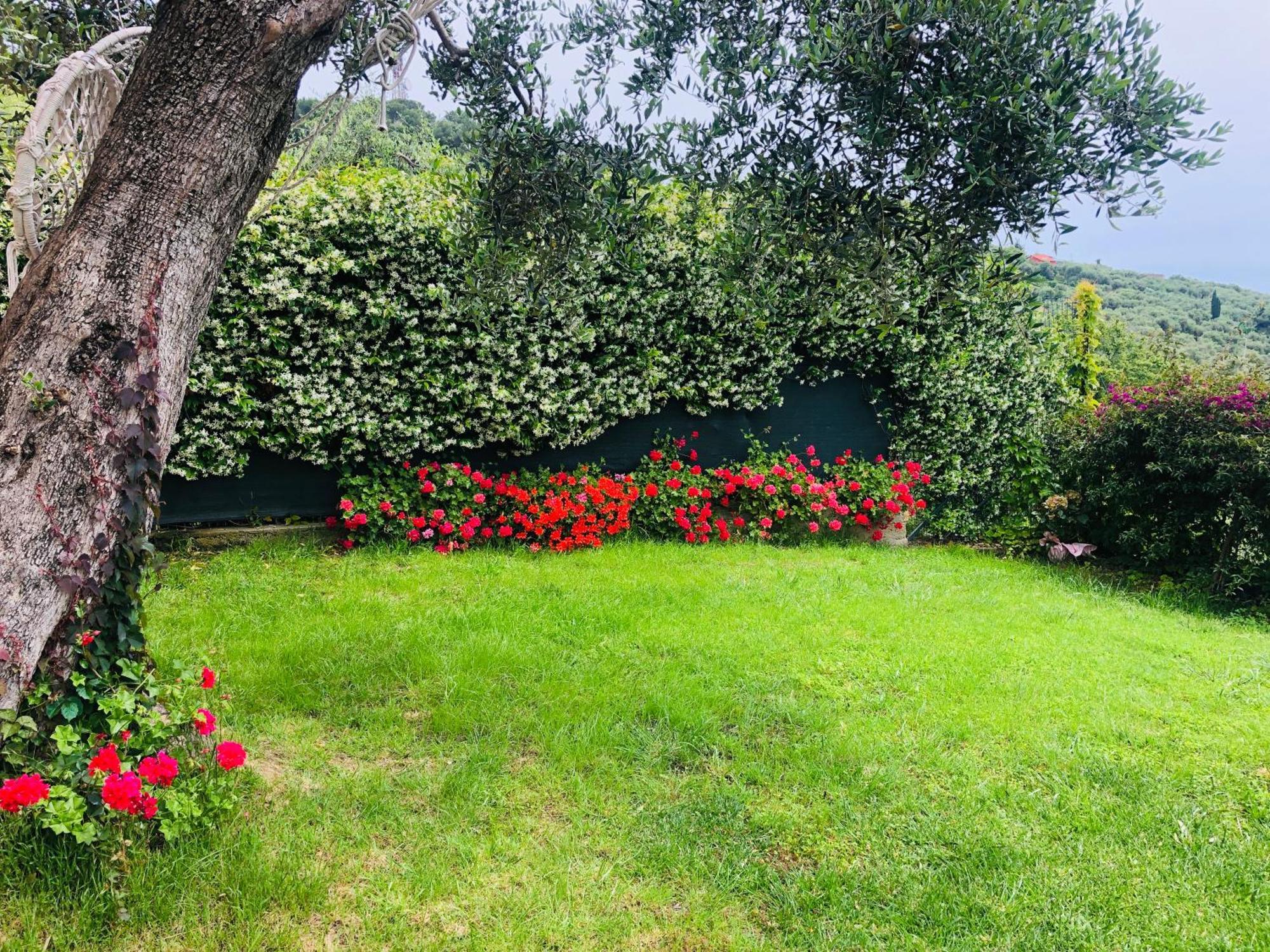Le Jardin Sur Mer Avec Bike Et Mtb Tour Hotel Imperia Exterior foto